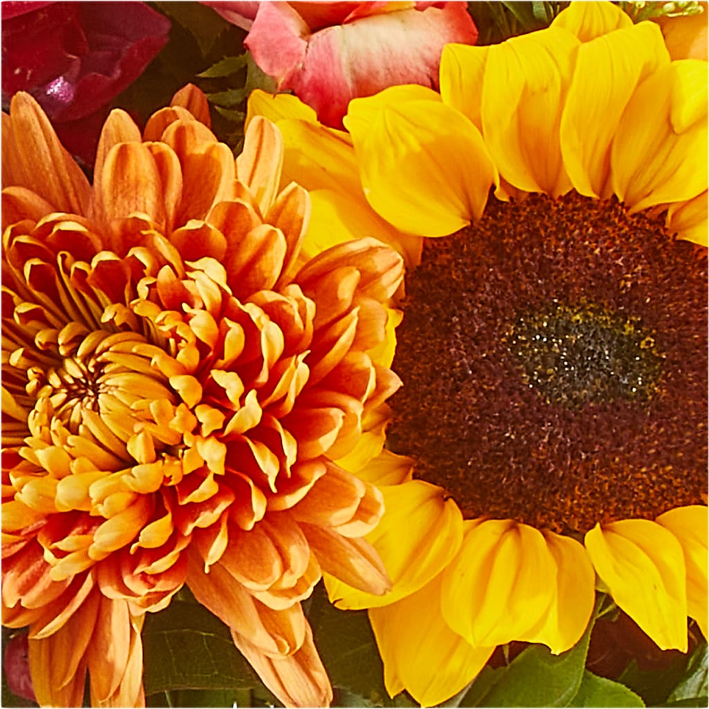 Seasons Change Bouquet –  Taylor Florist, Billerica MA