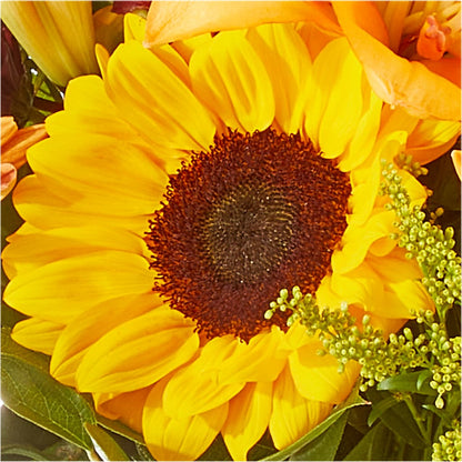 Seasons Change Bouquet –  Taylor Florist, Billerica MA