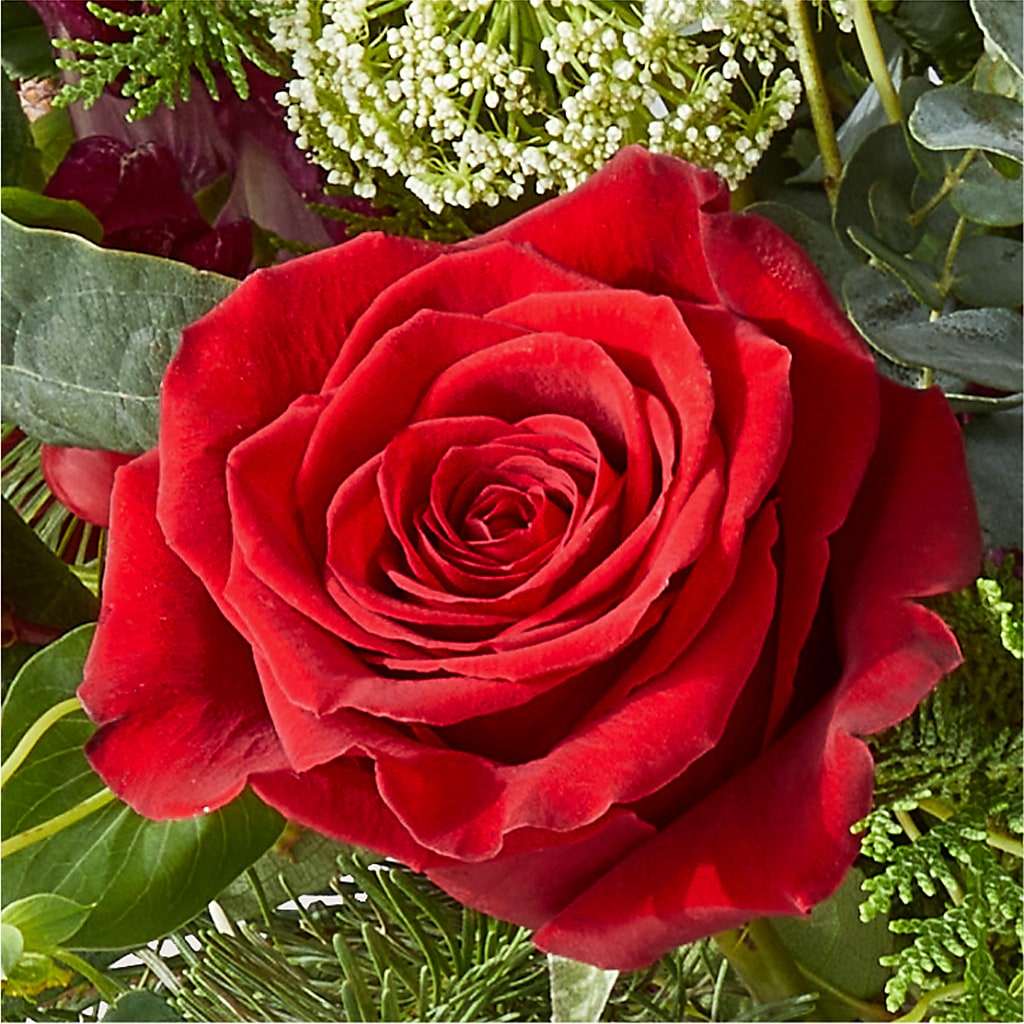 Cranberry Fizz Bouquet –  Taylor Florist, Billerica MA