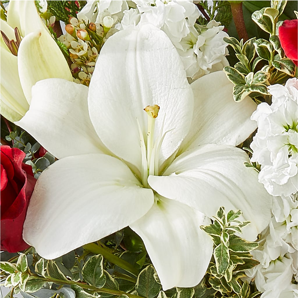 Twinkle Lights Bouquet –  Taylor Florist, Billerica MA