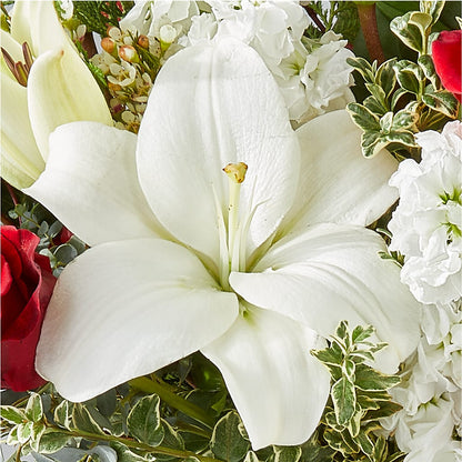 Twinkle Lights Bouquet –  Taylor Florist, Billerica MA