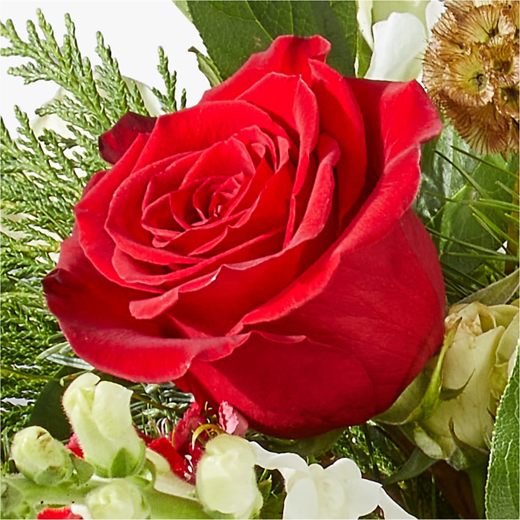 Deck the Halls Bouquet –  Taylor Florist, Billerica MA