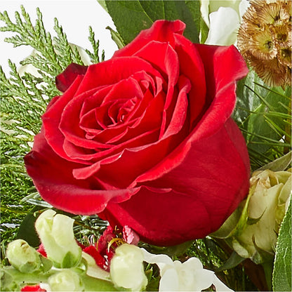 Deck the Halls Bouquet –  Taylor Florist, Billerica MA