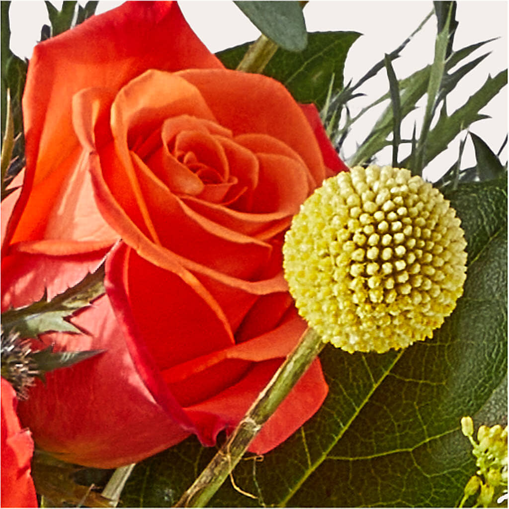 Disco Bouquet –  Taylor Florist, Billerica MA