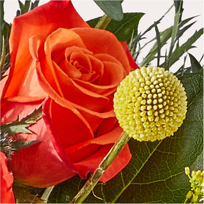 Disco Bouquet –  Taylor Florist, Billerica MA