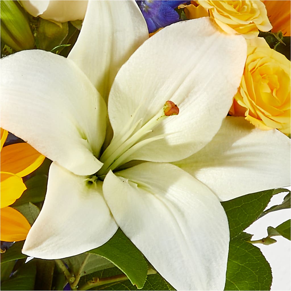 Wonderfully Sunny Bouquet –  Taylor Florist, Billerica MA