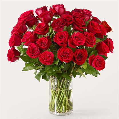 The One Red Rose Bouquet –  Taylor Florist, Billerica MA