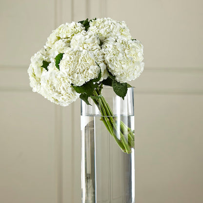 White Hydrangea Hand-Tied Bouquet –  Taylor Florist, Billerica MA