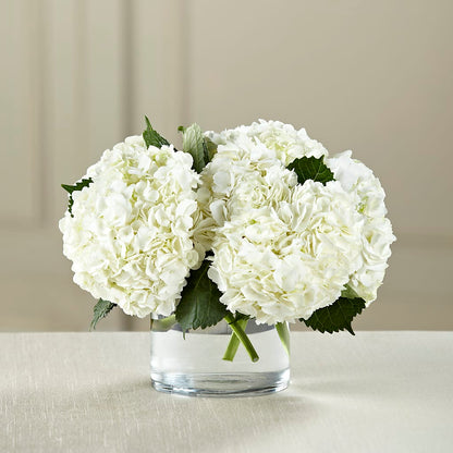 White Hydrangea Bouquet –  Taylor Florist, Billerica MA