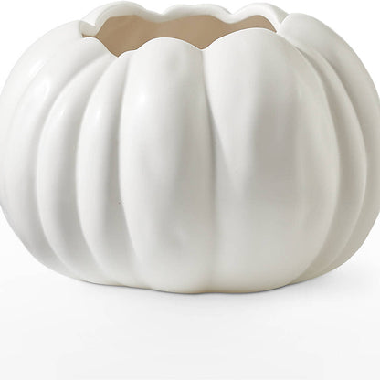 Pumpkin to Talk About Bouquet –  Taylor Florist, Billerica MA